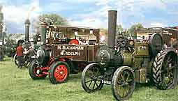 Traction Engines and Steamers at Lingfield 