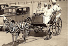 1936 Zebra Phaeton